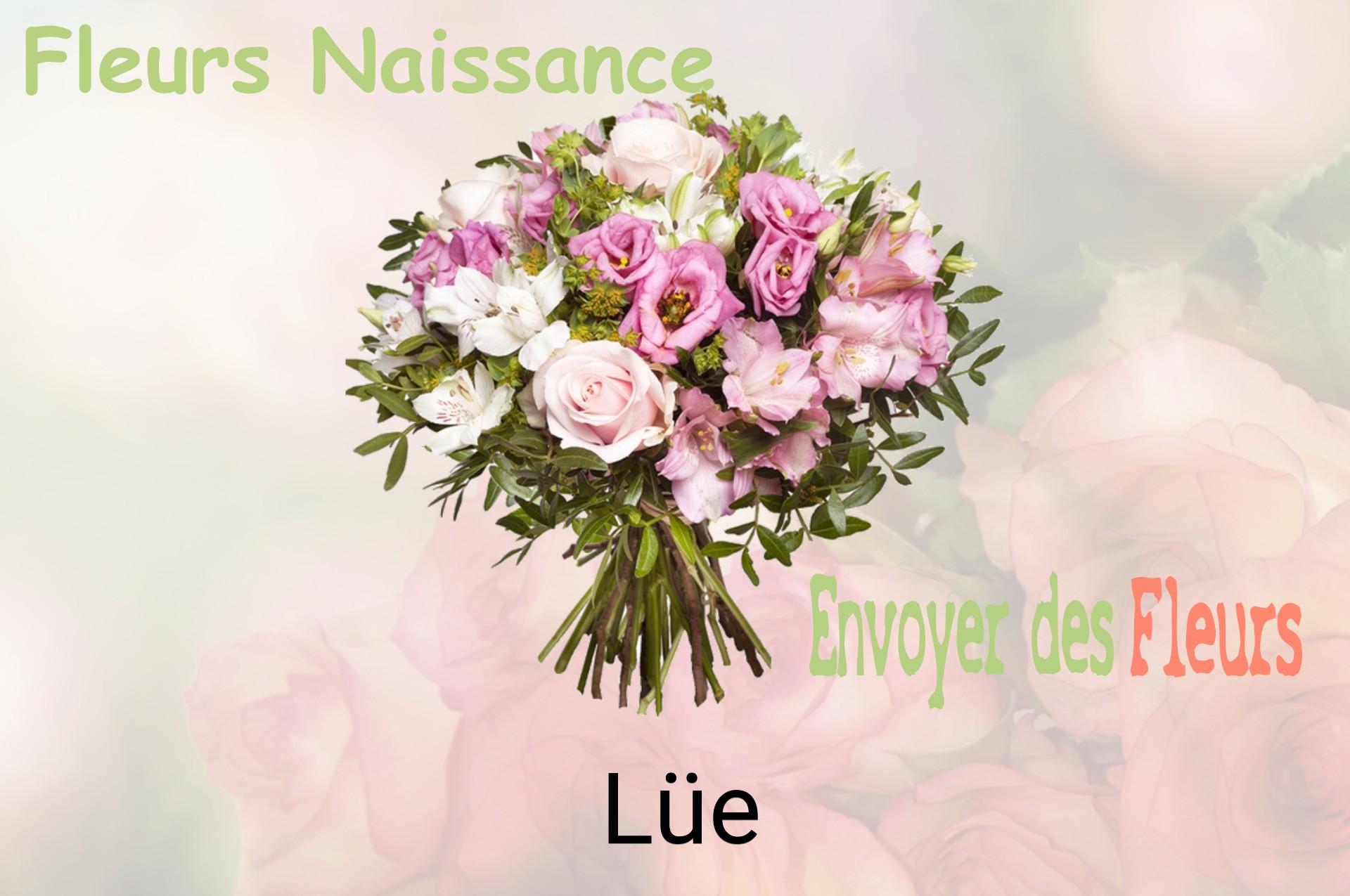 Bouquet de fleurs de naissance livré à Lüe