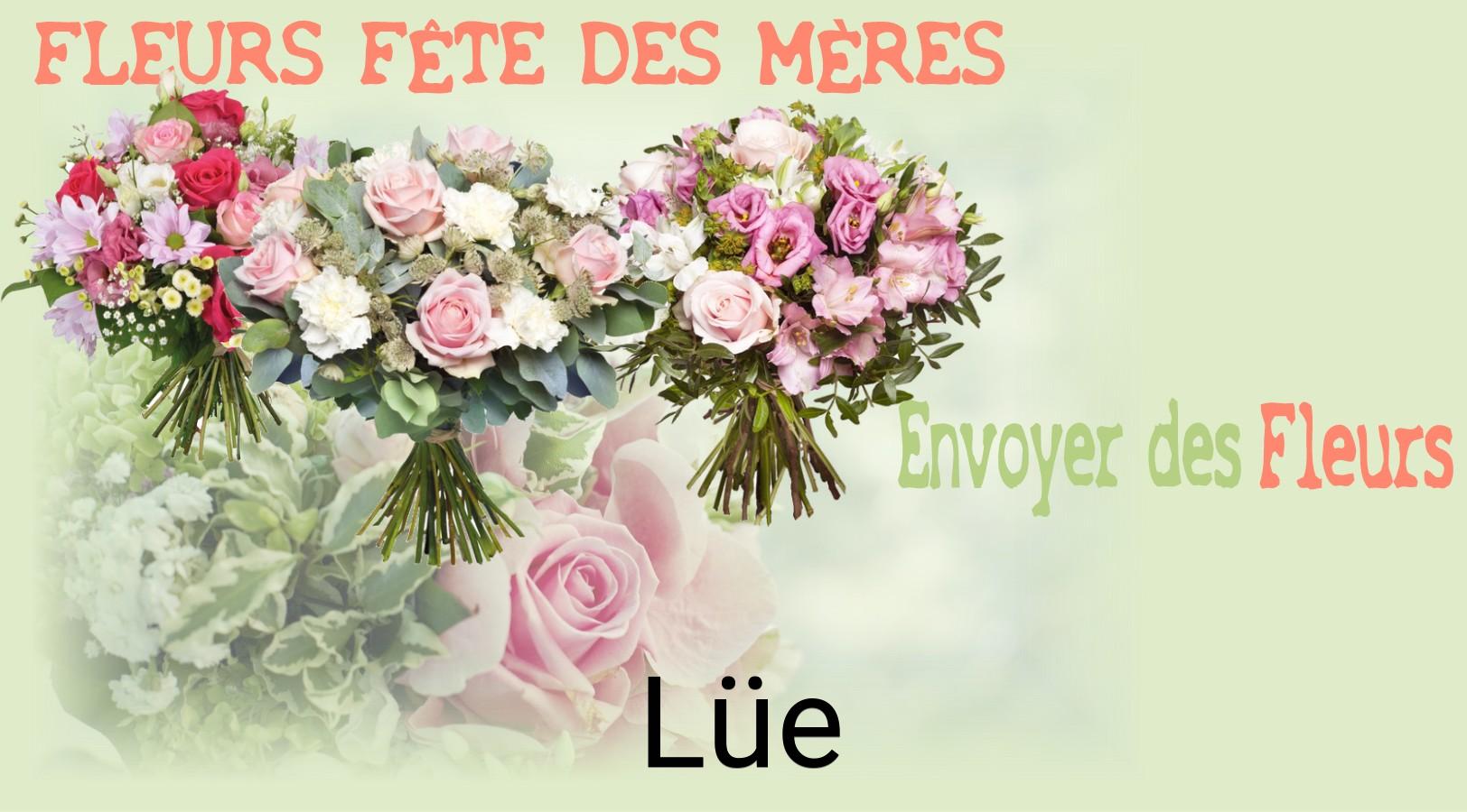Bouquet de Fête des Mères livré à Lüe